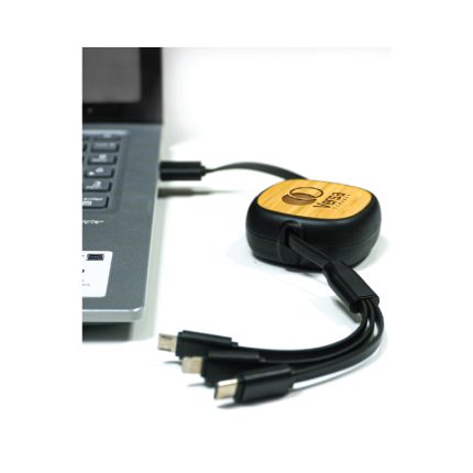 M24-248a Spruce – 01